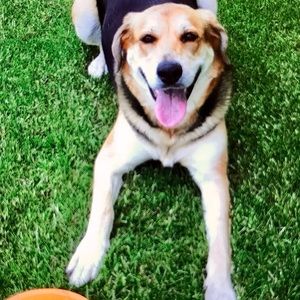 Meet your Posher, Tonya